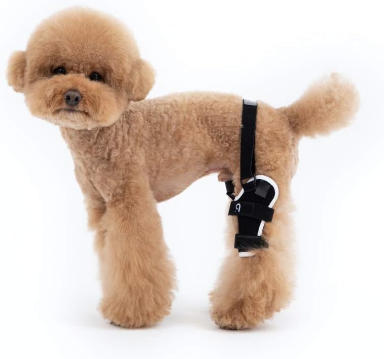 Poveo hinged Dog Knee Brace with Patella Tracker - Neoprene Canine Stifle Support for Dogs with Flexible Support, Torn ACL, Patella Luxation, osteoarthritis, limping from Joint Pain, Hip dysplasia