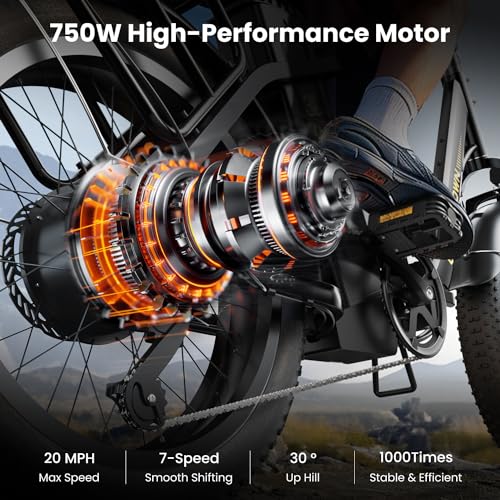 CycFree Electric Bike for Adults,1000W Peak Motor Ebike with 48V 15.6Ah Removable Battery up to 75+Miles & 20MPH Commuter Electric Bicycle, 20" Fat Tire All-Terrain Step-Thru 7-Speed E Bike