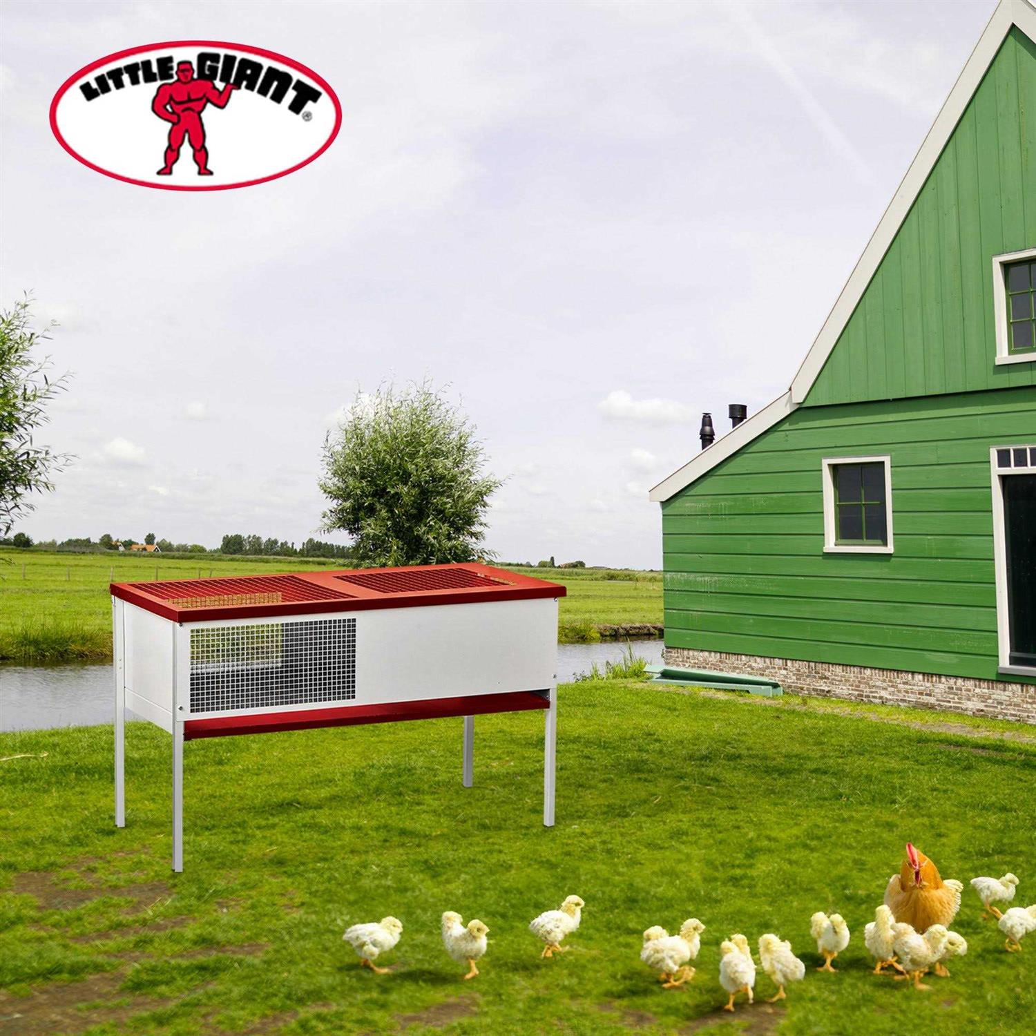 Little Giant Chick Brooder Box Galvanized - Pet Supplies online store