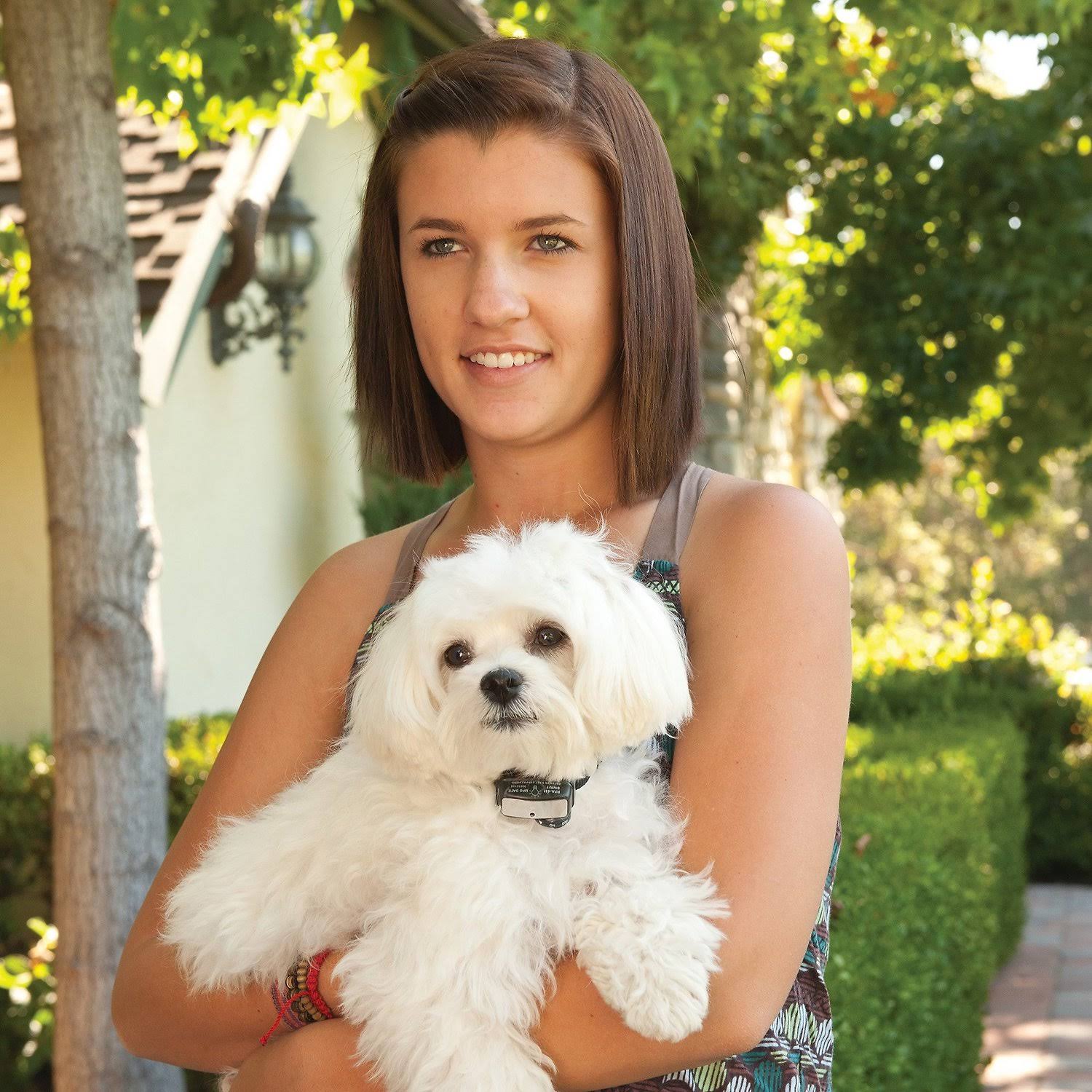 PetSafe Elite Little Dog Bark Control Collar