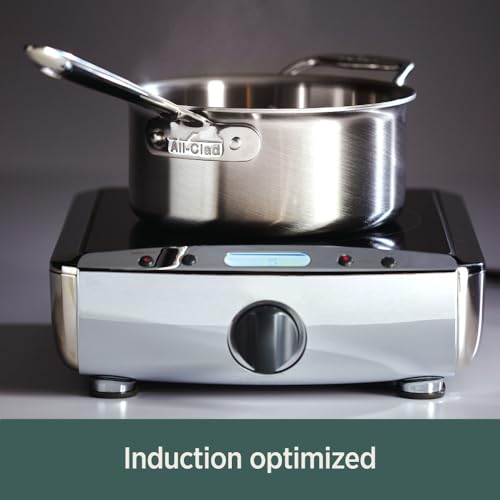 All-Clad D5 5-Ply Brushed Stainless Steel Fry Pan 8 Inch Induction Oven Broiler Safe 500F Pots and Pans, Cookware Silver