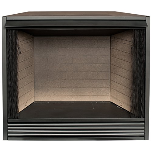 Duluth Forge ProCom Heating Dual Fuel Ventless Gas Firebox Insert with Mantle, Use with Natural Gas or Liquid Propane