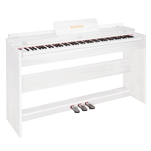 88 Key Fully Weighted Digital Piano Keyboard, 88 Keys Hammer Action Electric Pianos, Wooden Classic Upright Electronic Piano for Beginner, Professional, Midi Compatible, Triple Pedal (Black)