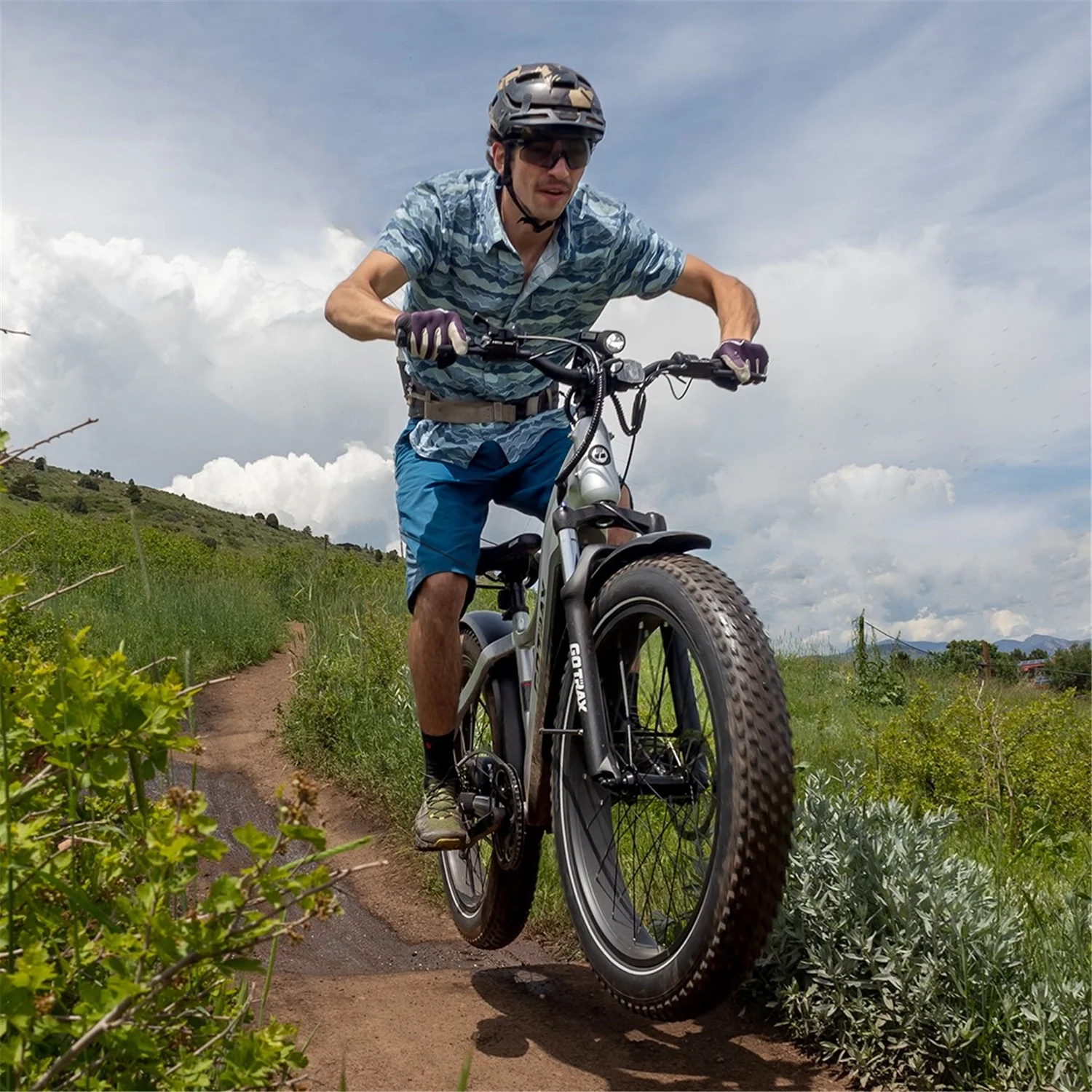 GOTRAX Tundra Electric Bike for Adults, 750W 48V 26" x 4" Fat Tire Adult Dirt Electric Bicycle, 20MPH All Terrain Electric Mountain Bike, Step over, Silver