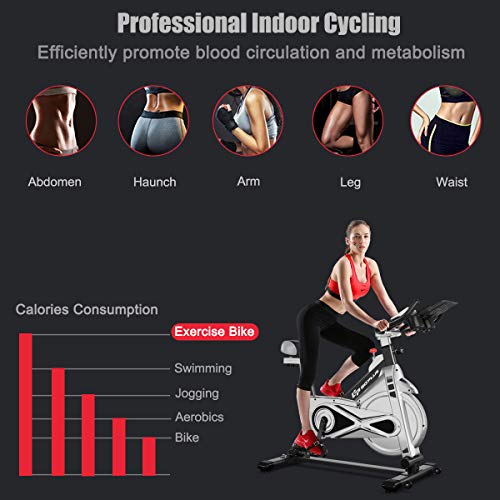 Goplus Adjustable Exercise Bike, Stationary Silent Bicycle with Dual-Spring Shock Absorption Design, Real-time Heart Rate, Cup/Phone Holder and Electronic Display, Indoor Cycling Bike