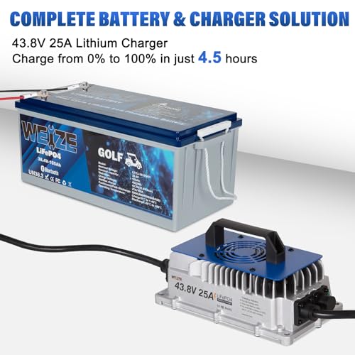 Weize 12V 100Ah TM LiFePO4 Lithium Battery, Built-in Smart BMS, Group 31 Deep Cycle Battery Perfect for Trolling Motor, RV, Solar, Marine, Overland/Van, and Off Grid Applications