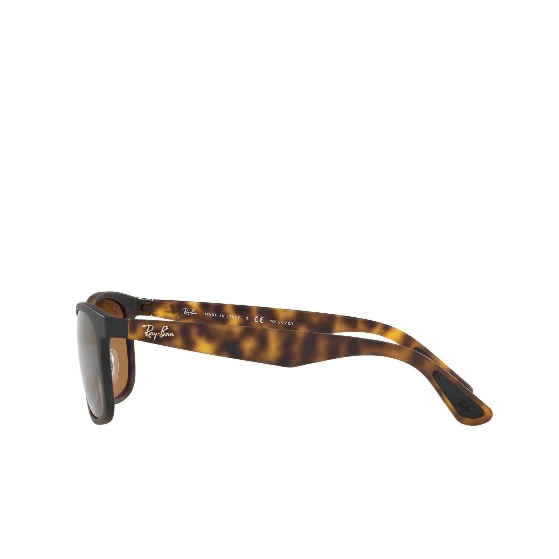 Sunglasses Ray-Ban RB4263 894/A3