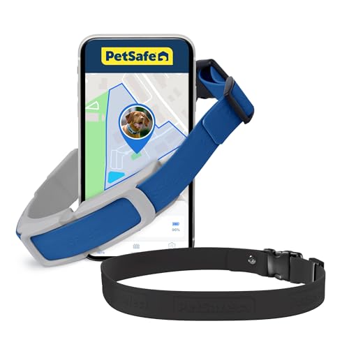 PetSafe Guardian GPS + Tracking Dog Fence Collar Pet Safe GPS Dog Collar Fence System, with App Waterproof Rechargeable Collar, Tracking for Dogs (Blue, Grey)