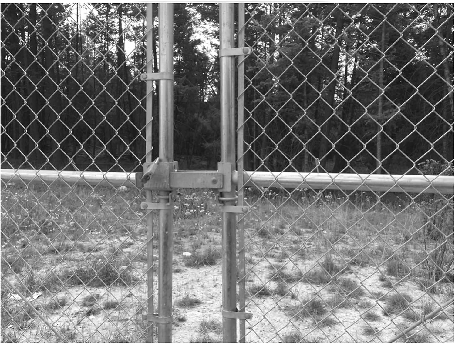 Chain Link Commercial Strong Arm Double Gate Latch - Latches Two Gates Together Without The Need of a Drop Rod - Chain Link Double Gate Latch for 1-5/8" Thru 2" Gate Frames Pack of 2