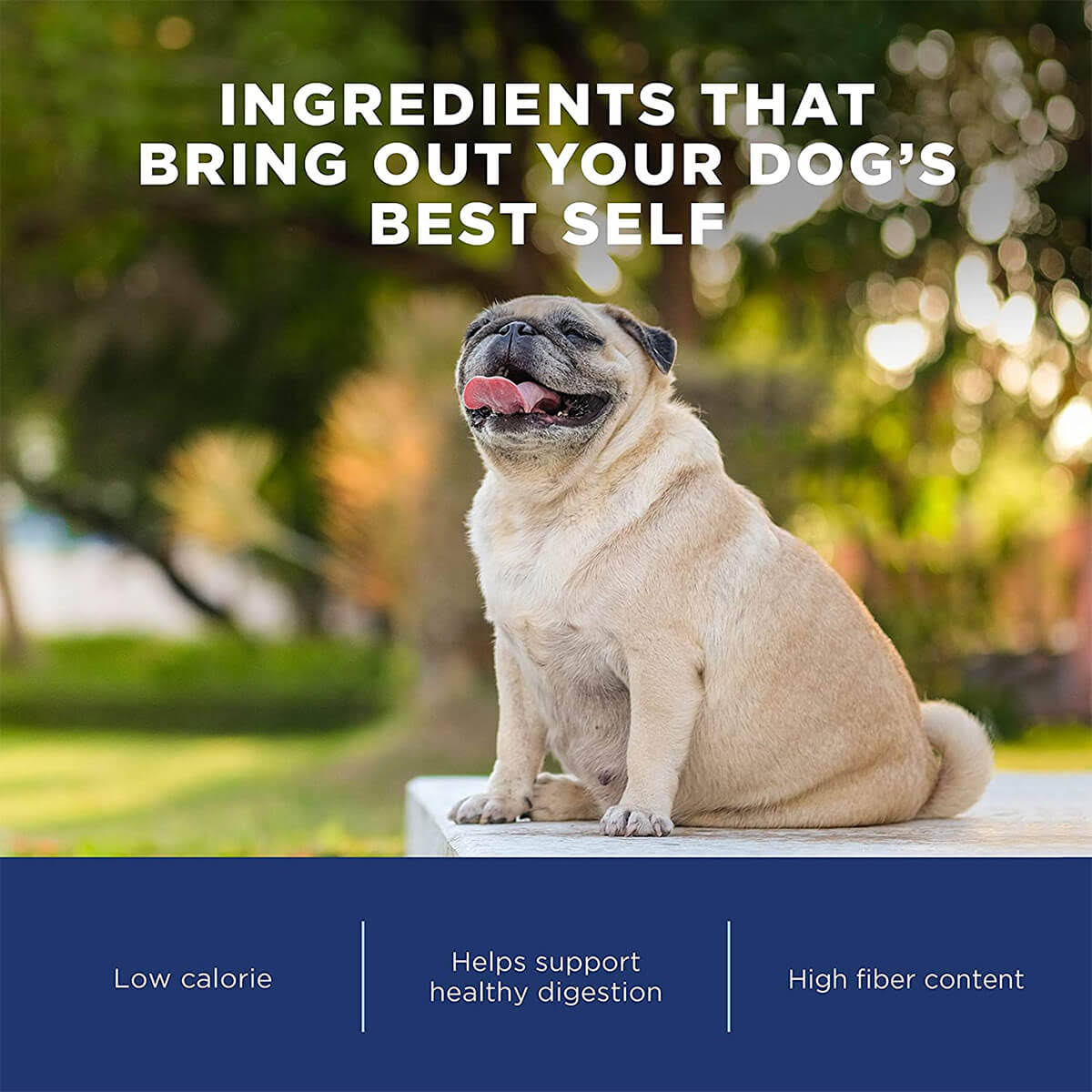 Natural Balance Fat Dogs Dog Food, Chicken Meal, Salmon Meal u0026 Barley Formula - 28 lb