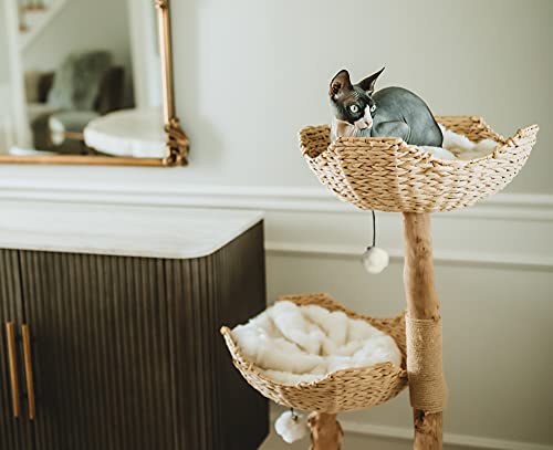 MAU Modern Cat Tree Tower for Large Cats, Real Branch Luxury Cat Condo, Wood Cat Tower, Cat Scratching Tree, Cat Condo, Cat Lover Gift, Luxury Cat, Cat Gifts by Mau Lifestyle