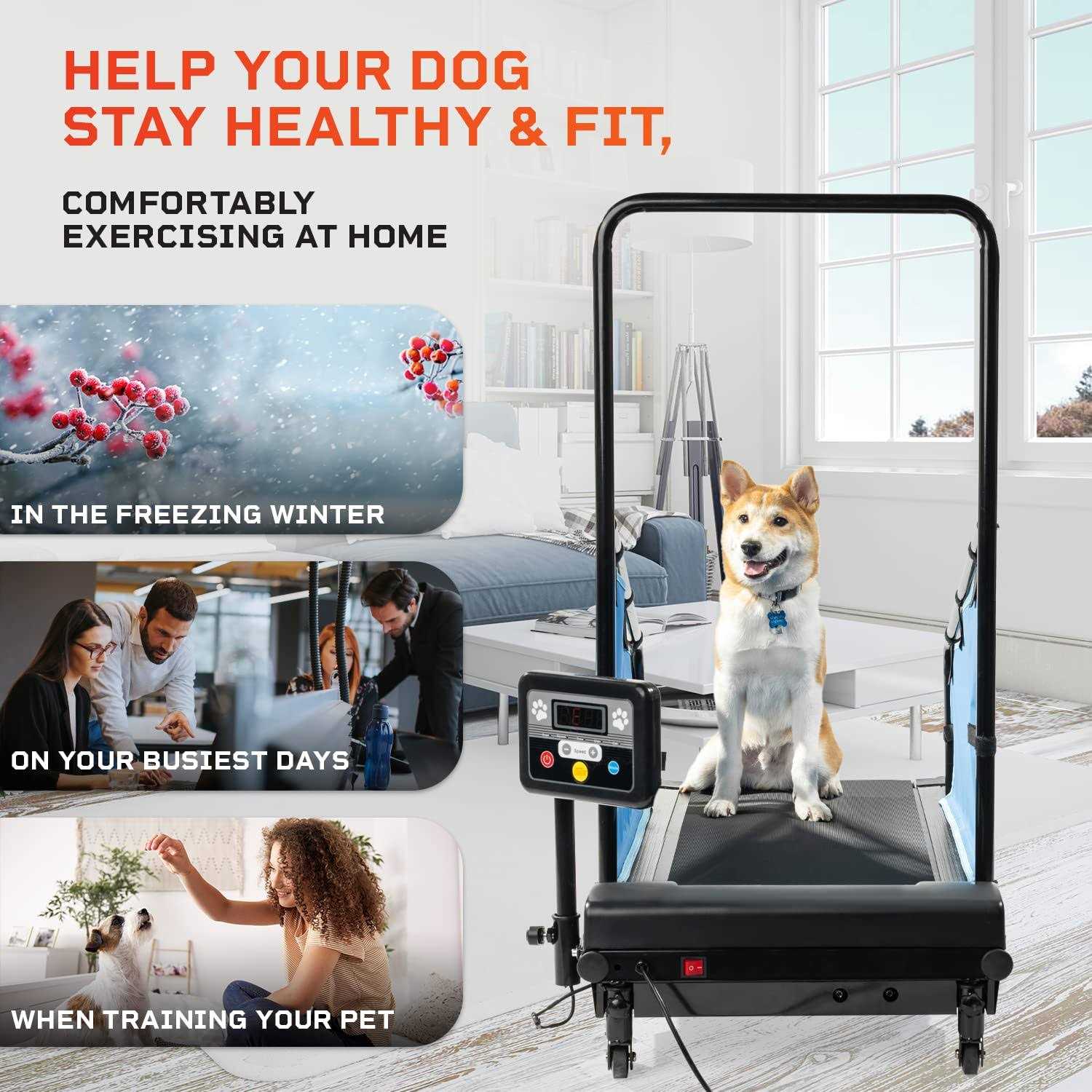 Lifepro Dog Treadmill Small Dogs Dog Treadmill Medium Dogs Dog Pacer Treadmill for Healthy &amp; Fit Pets - Pet Supplies online store