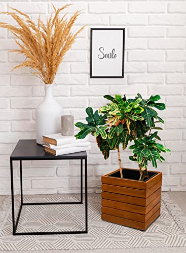 Serene Spaces Living Square Acacia Wood Planter Box, Rustic Indoor Flower and Succulent Planter, Decorative Farmhouse Wooden Storage Container Boxes, Measures 12" L X 12" W X 12" H