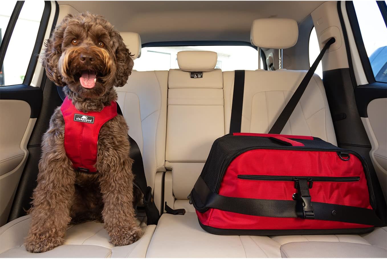 Sleepypod Air - Airline Approved Pet Carrier and Crash-Tested Car Seat for Cats and Dogs up to 18 lbs (Robin Egg Blue)
