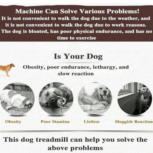 Dog Treadmill,Dog Treadmill for Large Dogs,Pet Treadmill for Dogs,for Small and Large Dogs,Cats,and Other Pets