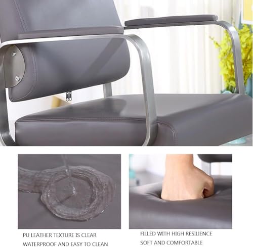 barber chair, Salon Chair for Hair Stylist Stylist Chair with Heavy Duty Hydraulic Pump, 360 Degrees Swivel Spa Beauty Equipment for Hair Stylist Women Man,Grey,A