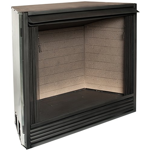 Duluth Forge ProCom Heating Dual Fuel Ventless Gas Firebox Insert with Mantle, Use with Natural Gas or Liquid Propane