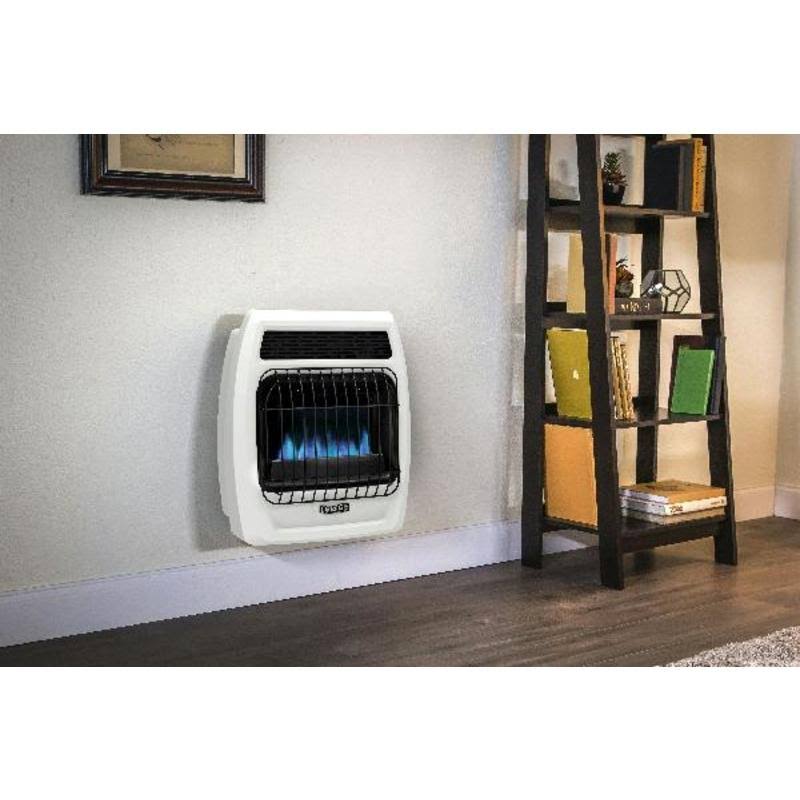 Dyna-Glo 300 Sq. ft. 10000 BTU Natural Gas/Propane Wall Heater