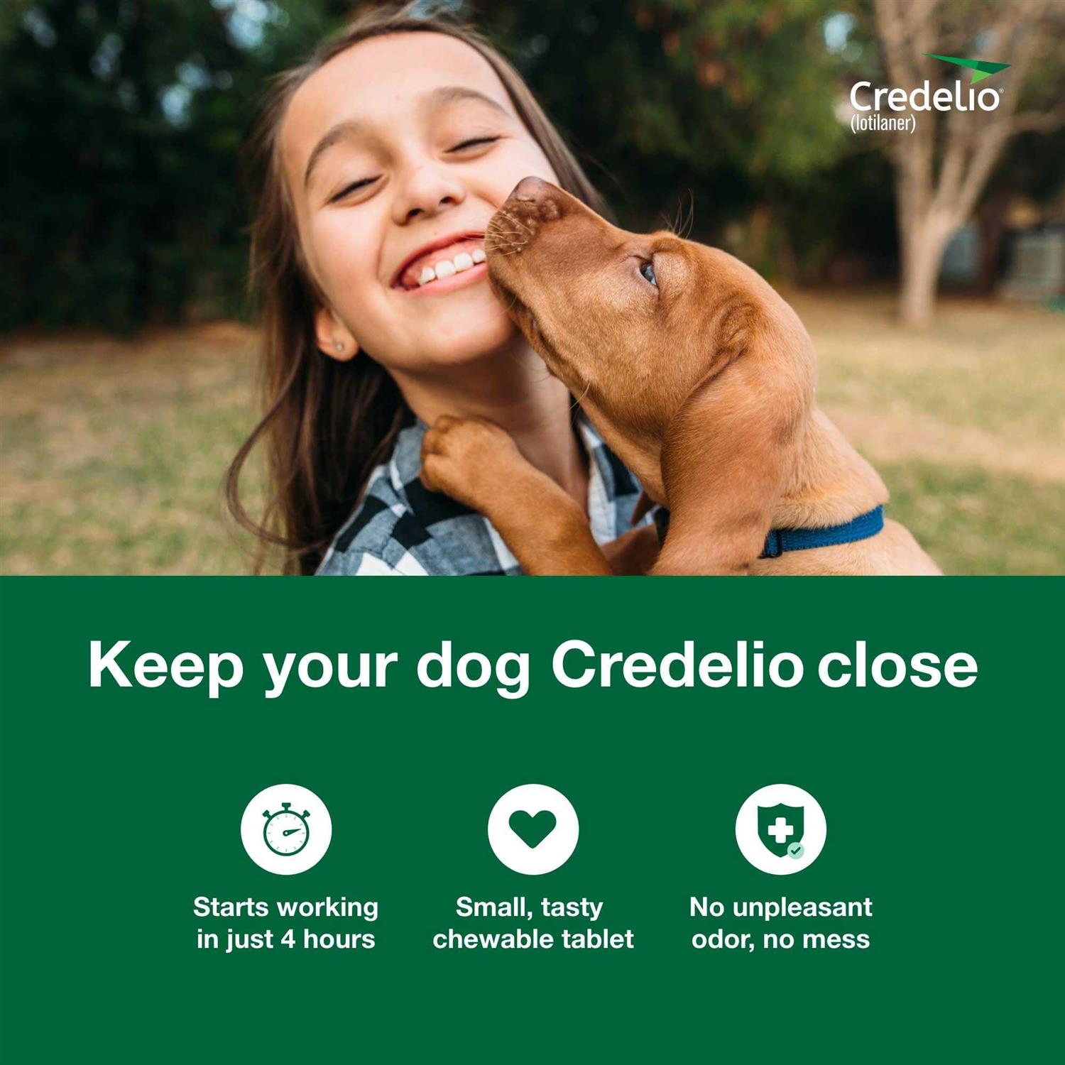Credelio Chewable Tablet for Dogs - Pet Supplies online store