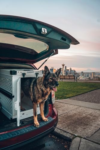 Impact Collapsible Dog Crate - High-Strength, Powder-Coated Aluminum Construction with Portable, Space-Saving Design for Home and Travel (Gray, 40" (40.5" L x 23" W x 29" H))