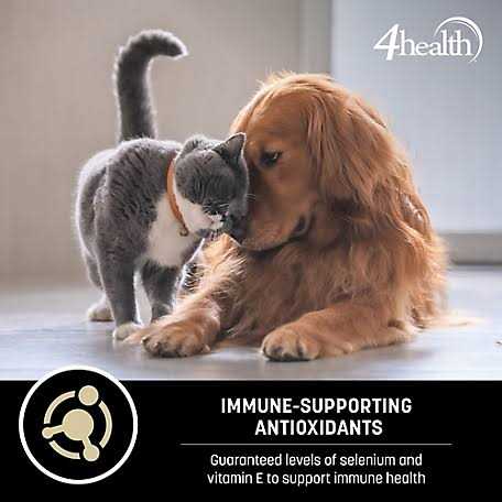 4health Wholesome Grains Adult Lamb and Rice Formula Dry Dog Food - Pet Supplies online store