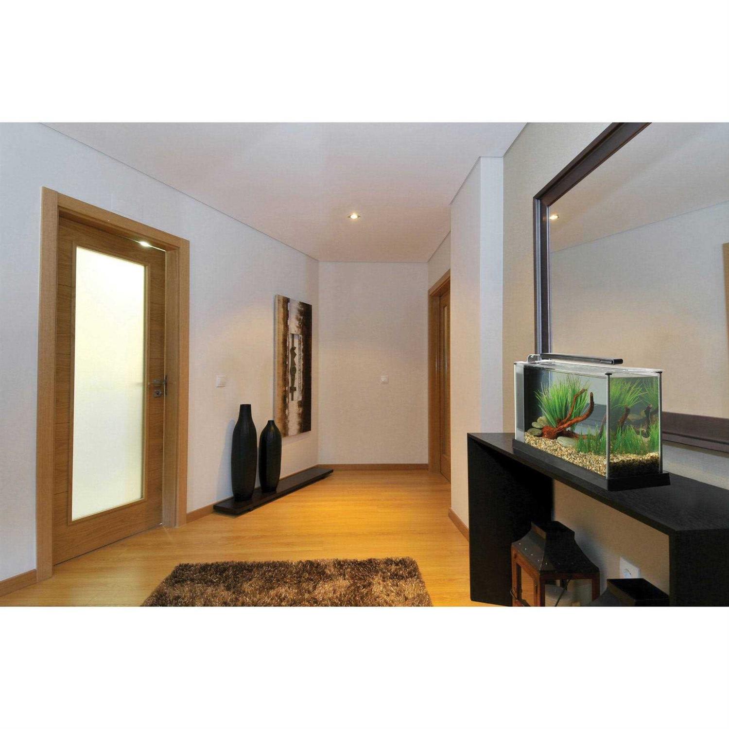 Fluval Spec V - Pet Supplies online store