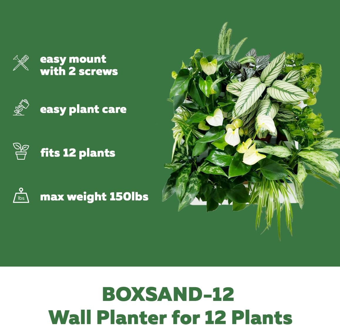 BOXSAND-12 (24"x26") Living Wall - Wall Planter, Vertical Garden for 12 Plants, Indoor/Outdoor, 2 Screws Install (White) with Black Square Pots