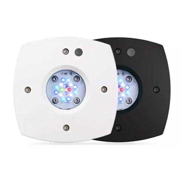 Aqua Illumination Prime 16HD Reef LED - Pet Supplies online store