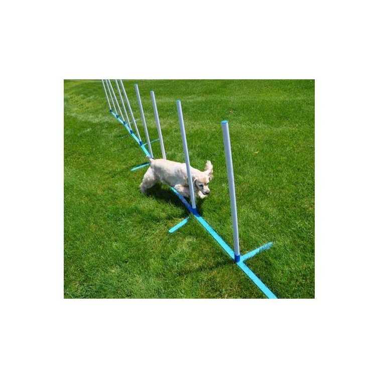 Cool Runners Agility Weave Poles Adjustable 6 Pole Set with Carrying Case and Grass Stakes - Pet Supplies online store