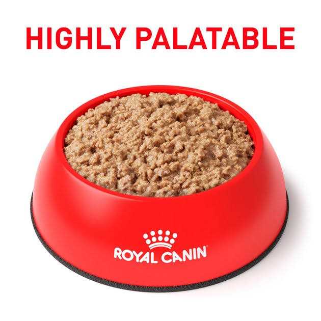 Royal Canin Veterinary Diet Adult Urinary SO Loaf in Sauce Canned Cat Food - Pet Supplies online store