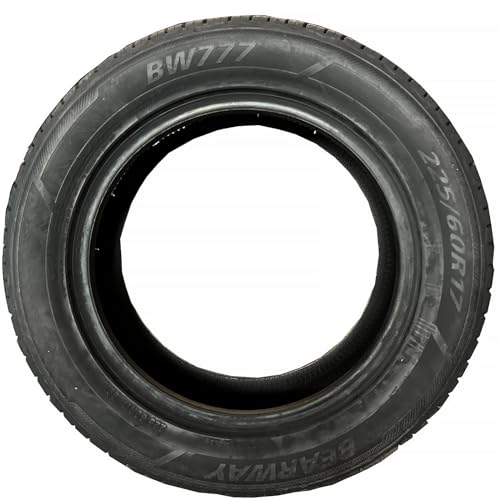 All Season Radial Tire 225/60R17 4PR+BW 99H (225/60R17)