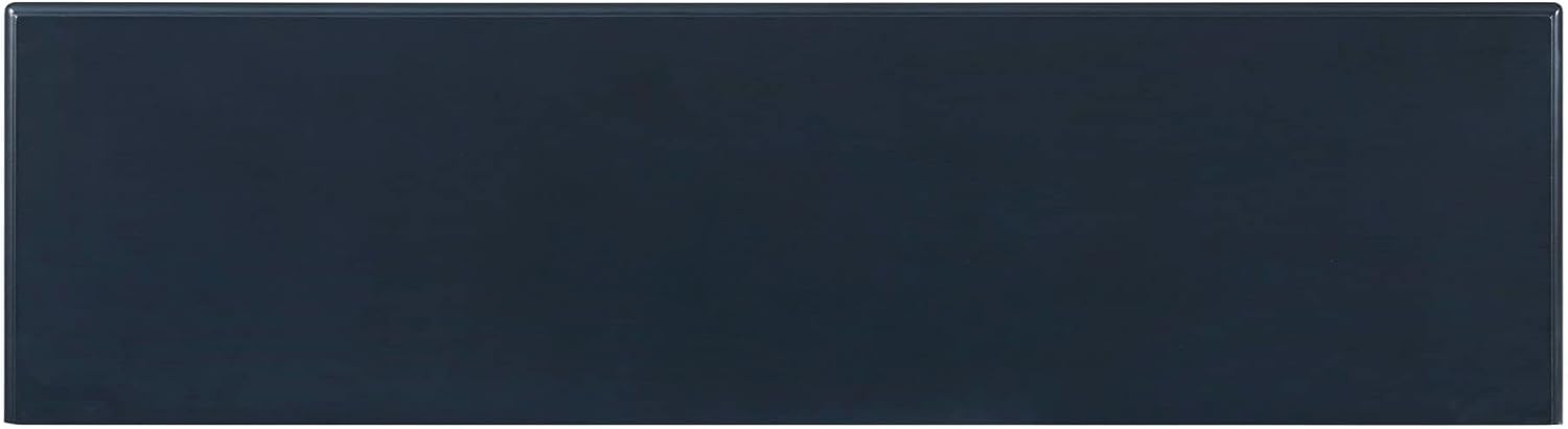 Martin Svensson Home Elegant Catalina Blue 2 Door 63" TV Stand