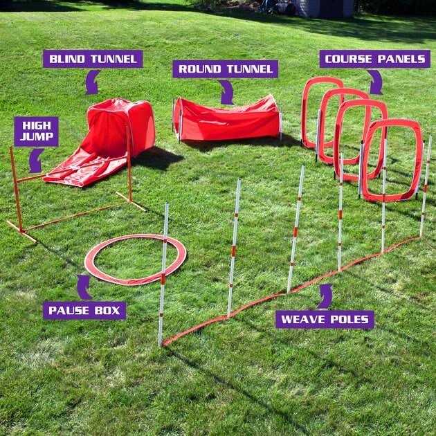 SP Dog 6 Piece Agility Kit - Pet Supplies online store