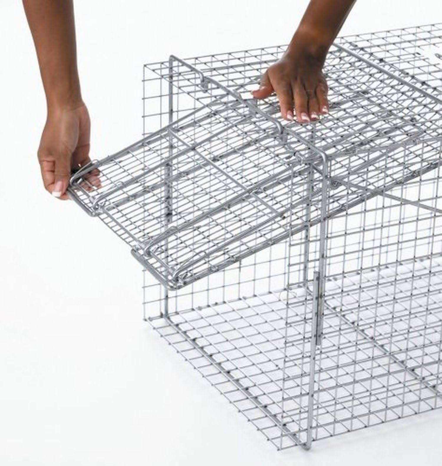 Havahart 1081 Live Animal Professional Style One-Door Large Raccoon, Small Dogs, and Fox Cage Trap