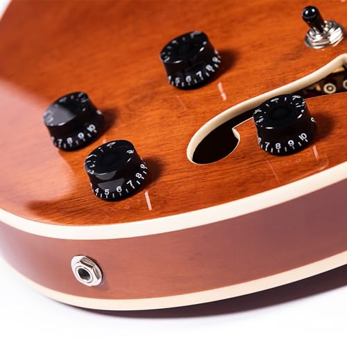 Redid Semi-Hollow Body Electric Guitar RD-100 Jazz Guitar with F-Hole,Maple neck,humbucker Pickups(Brown)