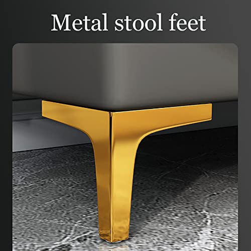 Shoe Rack,Shoe Storage Bench, Shoe Cabinet and Shoe Organizer Cabinet W/PU Padded Seat Cushion, Bed End Stool for Hallway Living Room Bedroom, Supports 150KG,B,80 * 39 * 40CM (B 100 * 39 * 40CM)