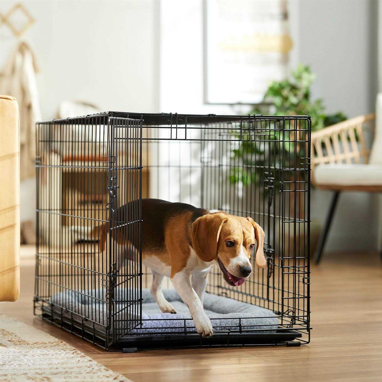 Frisco Heavy Duty Fold &amp; Carry Double Door Collapsible Wire Dog Crate - Pet Supplies online store