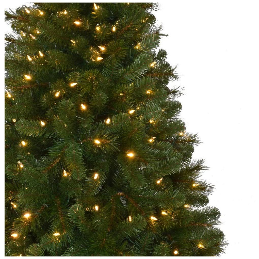 Home Accents Holiday 7.5 ft Pre-Lit LED Wesley Spruce Slim Artificial Christmas Tree, Color Changing TG76M3P08D05