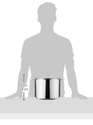 All-Clad D3 3-Ply Stainless Steel Stockpot 6 Quart Induction Oven Broiler Safe 600F Pots and Pans, Cookware Silver