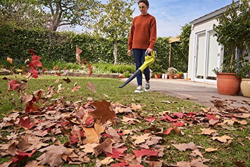 Ryobi OBL1820S ONE+ Cordless Blower, Air Speed (Zero Tool), 241 km/h, 18 V, Hyper Green and Grey