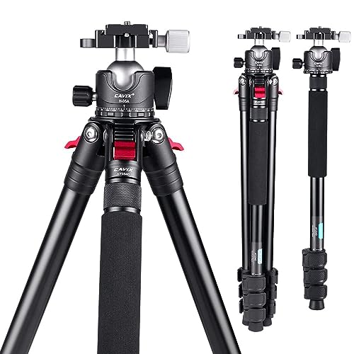 Carbon Fiber Tripod,Lightweight Portable Travel Tripod with Low Profile Ball Head with 1/4" Quick Release Plate Compatible with Camera Max Load 22lbs…