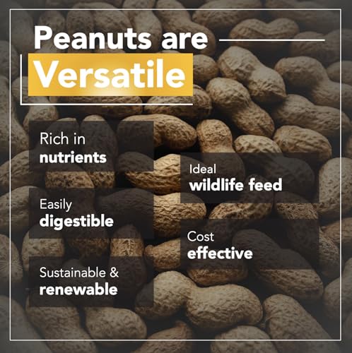 Wildlife Feed Raw Peanuts (50 LBS) - Our in-Shell Peanuts are The Ideal Critter Food to Attract Squirrels, Birds, Deer and Other Diverse Wildlife.