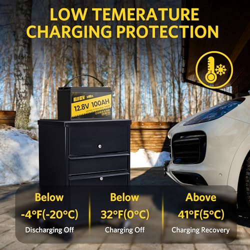 12V 100Ah Lithium Battery,Low-Temp Protection LiFePO4 Battery,Built-in100A BMS,15000+Deep Cycle,Rechargeable Lithium Iron Phosphate Batteries for Trolling Motors,Marine,RV,Camping,Home Energy