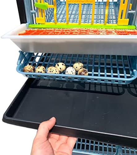 Quail Cage - 5 Layer (Power-Washable, Durable, ABS Plastic) | Hatching Time