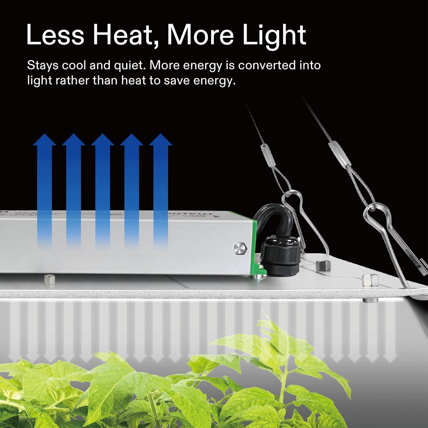 VIVOSUN 36"x36"x72" Hydroponic Mylar Grow Tent with VS1000E LED Grow Light, 3' x 3' Grow Tent with Observation Window and Floor Tray, LED Plant Light with Samsung Diodes