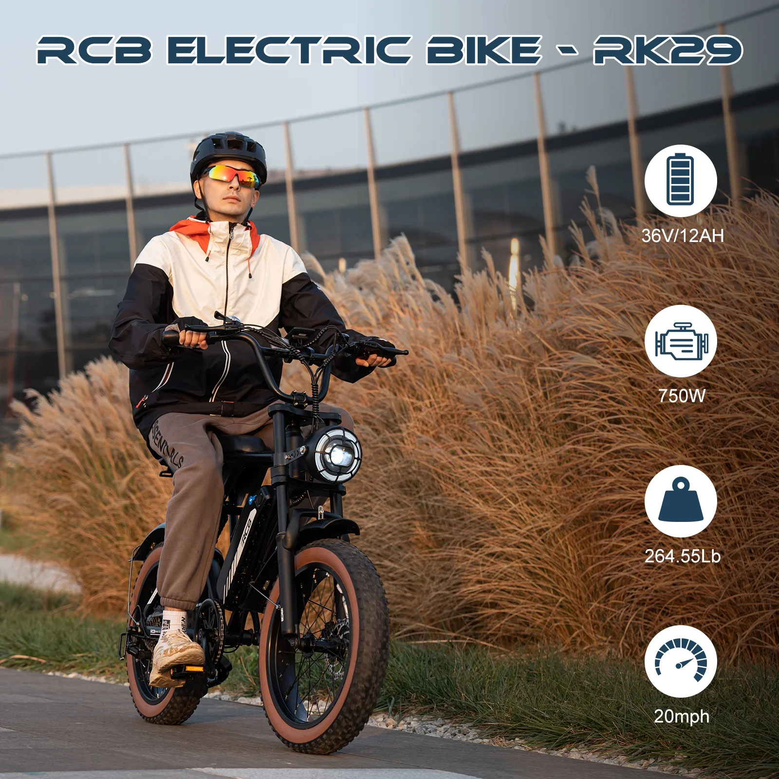 RCB 750W Electric Bike for Adults, 48V 15Ah Removable Li-Ion Battery, 20" 4.0 Fat Tire Electric Mountain Bicycle Beach Bike Snow Bike Ebike for Men&Women,Black
