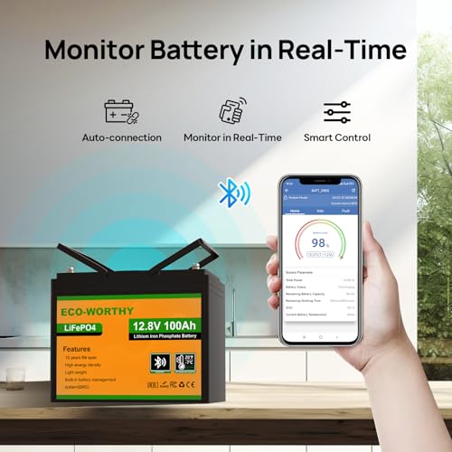 ECO-WORTHY 12V 100AH LiFePO4 Lithium Battery with Bluetooth, Max.1280Wh Energy, Low Temperature Protection, Group 24, Built-in 100A BMS, Perfect for Trolling Motor, RV, Boat, Solar Off-Grid