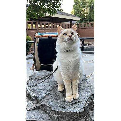 Your Cat Backpack The Navigator Earth Convertible Cat Backpack For Adventurous Cats and Humans - Pet Supplies online store
