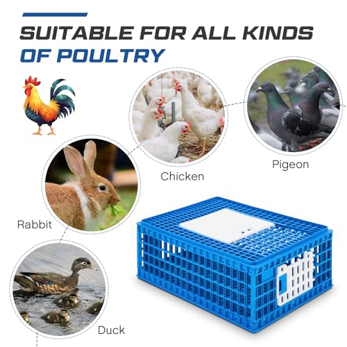 2 Pcs Poultry Carrier Crate 3 Door Chicken Transport Cage Plastic Poultry Carrier Basket Box for Chicken Duck Goose Birds, 29.53 x 21.65 x 11.42 Inch(Blue)