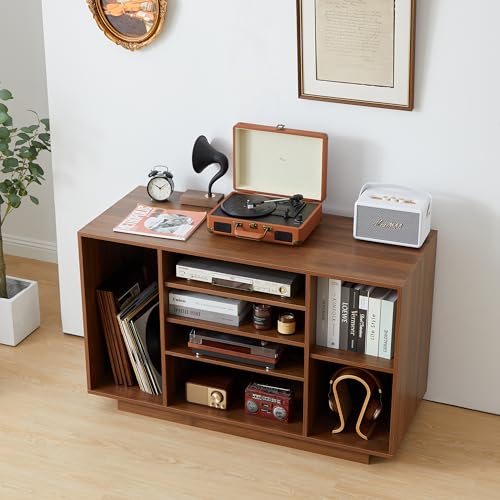 Stereo Cabinet, Media Storage Cabinet, 5-Tier Shelves Audio Video Record Player Stand Cabinet, Modern AV Cabinet with Cable Management for Entertainment Stereo Component(Black)